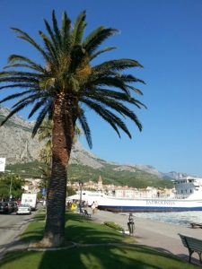 image-21400b4070a844ea3afd7a1dae6256f08fc7014346c9b1faf1db79e96964fd46-V