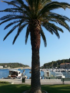 image-7d676fd40d02c9d50081006ac526560bcc8ff0c7fa2e2ed81317de9c242f6466-V