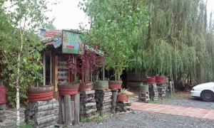 11898908_1084365034909461_7822398342579329026_n