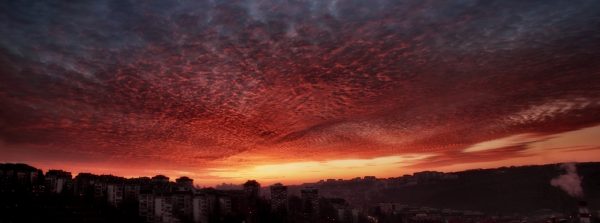 Foto: Ivana Todorović