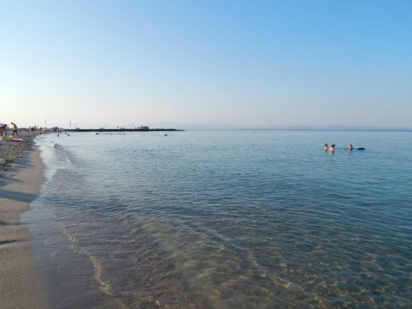 Foto: Neda Glišović