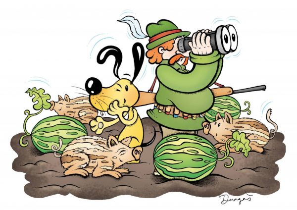 Autor: Nikola Dragaš