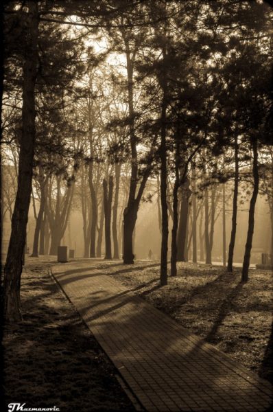 Foto: Jovana Kuzmanović