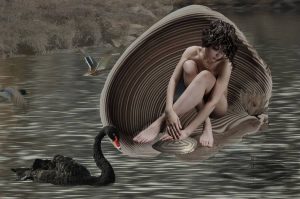 10670238_792185247512114_4133060926495744046_n