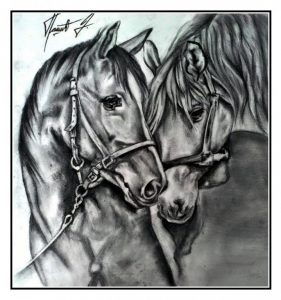 Autor: Dragana Pašić