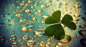 10418508_659468547456311_8477213035099432553_n