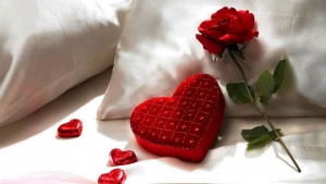 12122600_1654583264811194_8595453292855050146_n