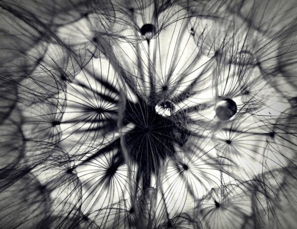 Foto: Ivana Todorović