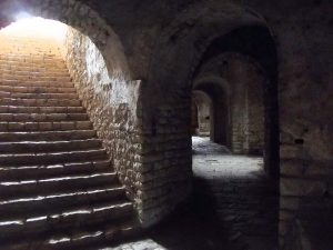 Foto: Snežana Radojičić