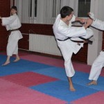 karate 001 1