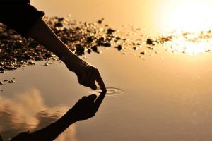 10423263_692053184183220_4303498287779054282_n