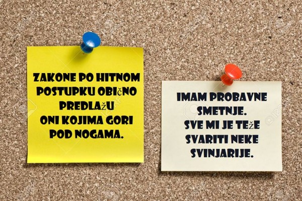 Biljana Kitić čakar