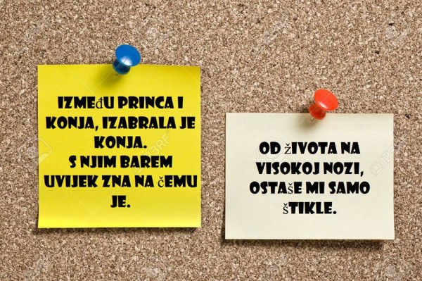 Biljana Kitić Čakar