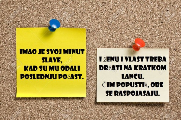 Biljana Kitić čakar