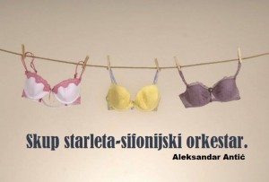 Aforizam Aleksandar Antić