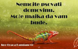 Skrenimo na pravi put vam predstavlja