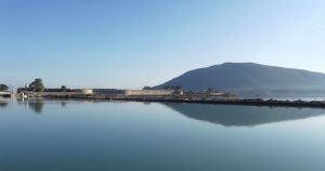 Foto: Snežana Radojičić