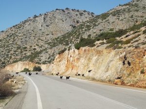 Foto: Snežana Radojičić