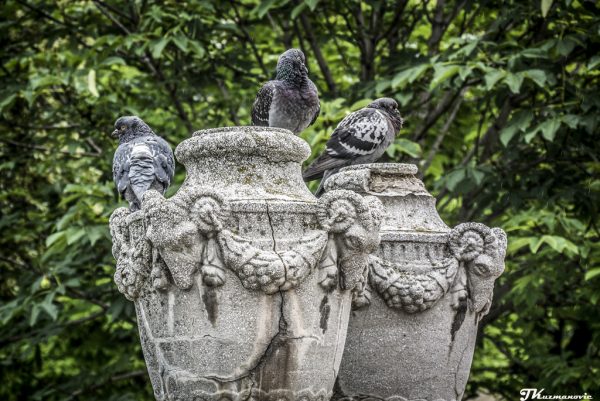 Foto: Jovana Kuzmanović