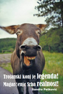 Aforizam Sandra Petković Ilustracija Deana Sailović