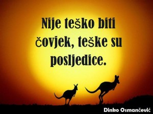 1013350_968972429850067_6688316767930625666_n