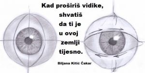 Biljana Kitić Čakar