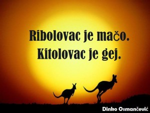 10410518_968974999849810_3514622668921852746_n