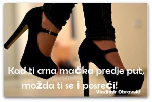 10435915_1593311817547389_1853517184590361322_n