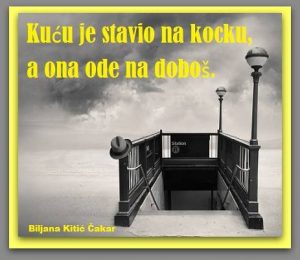 Biljana Kitić Čakar