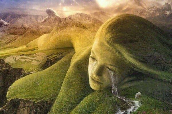 11205050_464448493713429_6261875339264954242_n