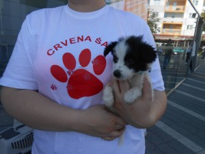 12088144_983487665027964_3718659952731069338_n