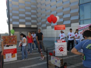 12143113_983489095027821_4926956725132712960_n