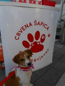 12144721_983489065027824_8203740577836546182_n