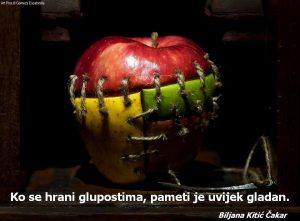 Biljana Kitić Čakar