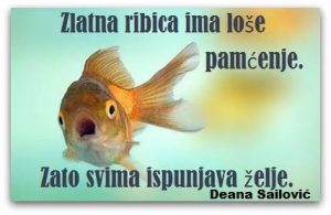 Dnevna doza aforizma