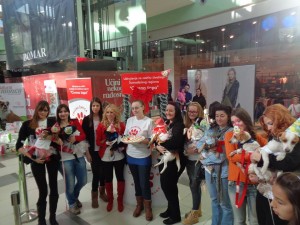 12341134_1012509972125733_4576303125981728783_n