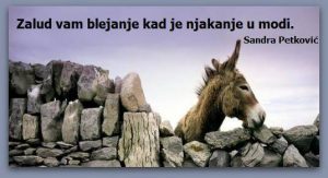 Aforizam Sandra Petković