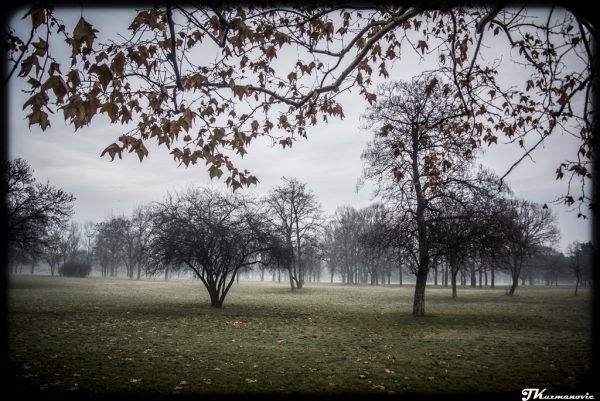 Foto: Jovana Kuzmanović