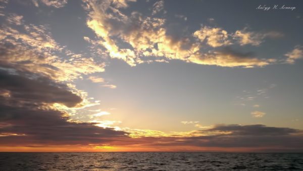 Foto: Labud N. Lončar