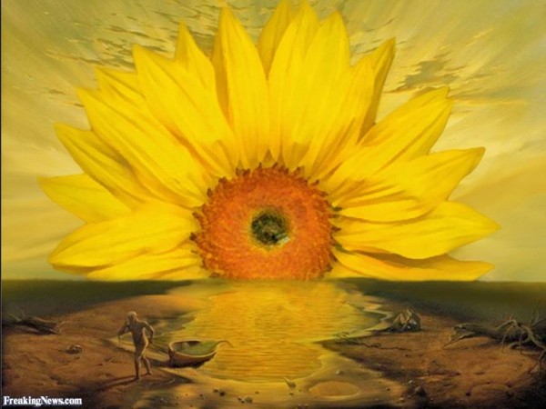 11050633_394634310719936_7208829221338130665_n