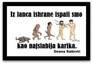 COOLumna Deana Sailović