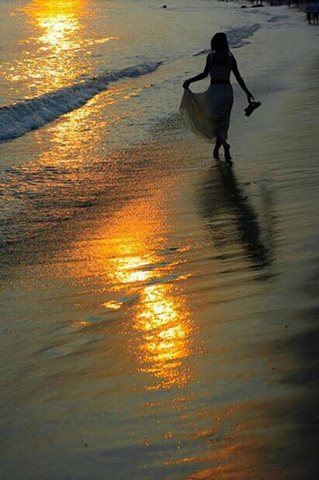 11425182_10204200975720439_7834086006939232262_n