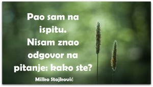 12439313_980396342041009_7265815261850539807_n