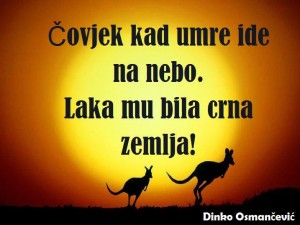 12443037_968985313182112_520754546_n