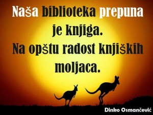 12463676_968985426515434_762366127_n