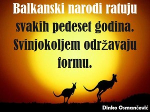 12468143_968985423182101_1941192032_n