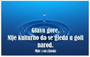 12495171_975345742546069_6047132861353767875_n