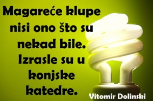 12507252_980178032062840_5977353090461929398_n