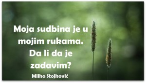 12507344_980395298707780_2651165471664567431_n