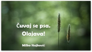 12508679_980392882041355_8242605772583179959_n